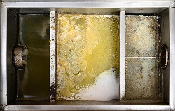 neglecting grease interceptor cleaning can lead to environmental contamination, foul odors, and plumbing problems